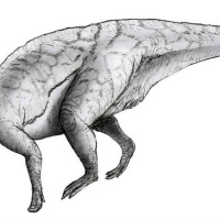 Dinosaurien som kunde vissla genom huvudet