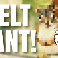 Klurig filur och sussande snokar!