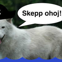Vargar till sjöss och stekiga stadsråttor!