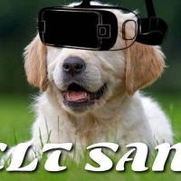 Högt tänkande hundar och VR-kaos!