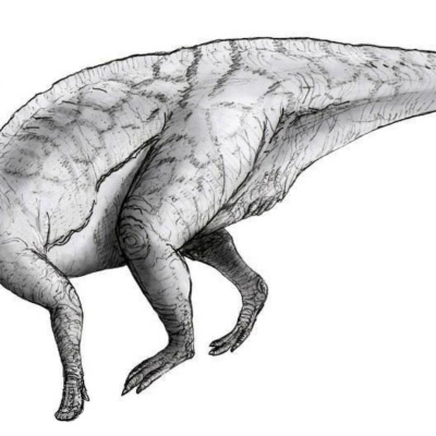 Helt Sant I Barnradion