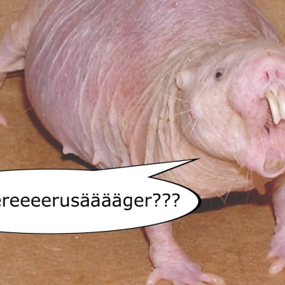 Helt Sant I Barnradion