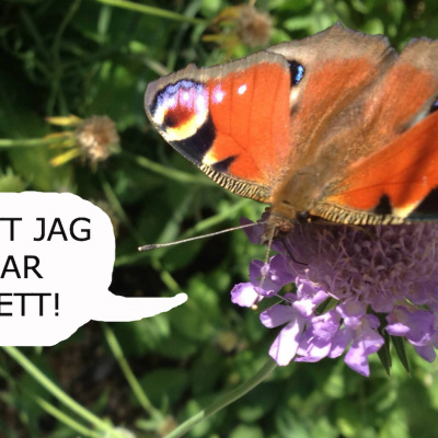 Helt Sant I Barnradion