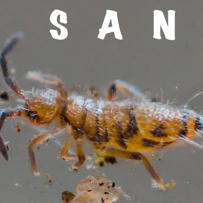 Helt Sant I Barnradion