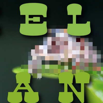 Helt Sant I Barnradion