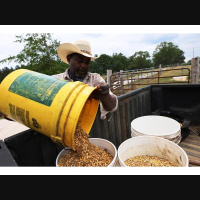 Black Farmers: Banks Fight $4 Billion Debt Relief Plan for Black Farmers