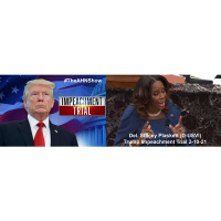 Trump Impeachment Day 2 Stacey Plaskett prosecutes Trump Dr. Carter G Woodson