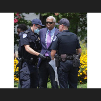 Rep. Hank Johnson arrested at Voting Rights Protest Haiti Cornel West
