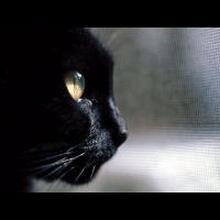 The History OF Friday The 13th  The Days Of The Week, 8pm 