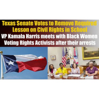 Texas Senate Votes to Remove Required School Lessons on Civil Rights VP Harris