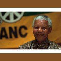 Nelson Mandela: Savior or Sellout of African People