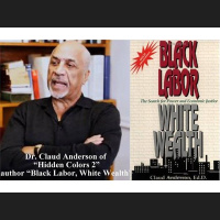 Dr. Claud Anderson Interview, author of Black Labor, White Wealth
