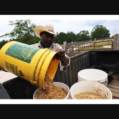 The African History Network Show