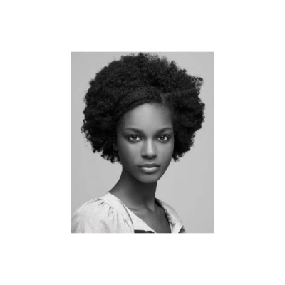 The African History Network Show