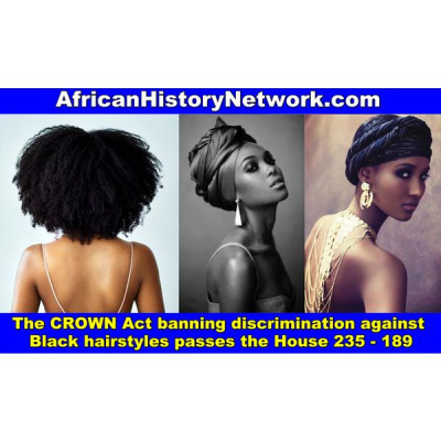 The African History Network Show