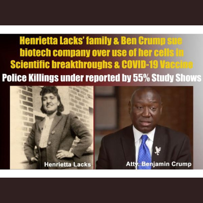 The African History Network Show