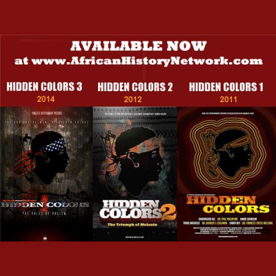 The African History Network Show