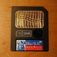 Em alguns casos, apenas o uso da palavra pode determinar a forma correta