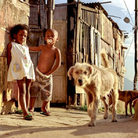 Qual a origem da palavra favela?