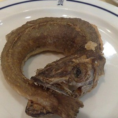 Viva A Língua Brasileira - Sérgio Rodrigues