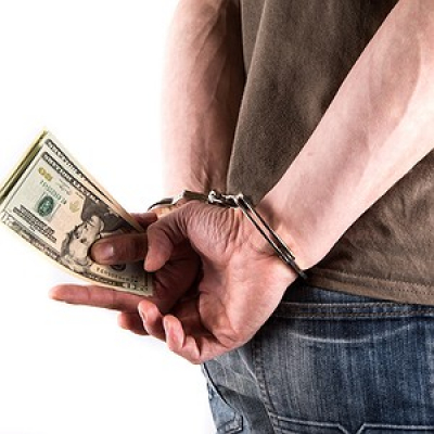 Viva A Língua Brasileira - Sérgio Rodrigues