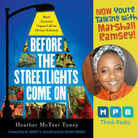 Heather McTeer Toney | Before the Streetlights Come On: Black Americas Urgent Call for Climate Solutions 