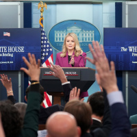 Trump Freezes Trillions. Chaos Ensues.