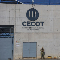 Trump Says They’re Foreign Gang Members. Are They?