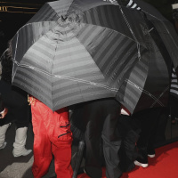 Pingardo pe socialamedei vaj pe televizia?