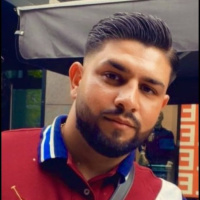 Vikingo Norwego - Göra karriär som romsk artist