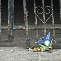 Voices From the Storm: Remembering Hurricane Katrina