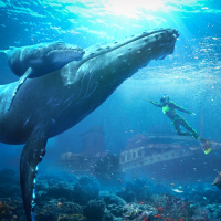 Ando Shah: Aquatic Virtual Reality Co-Founder