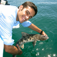 Dr. Andy Nosal: Leading shark biologist