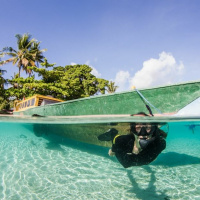 Candace Crespi: Campaign Director at Oceanic Preservation Society