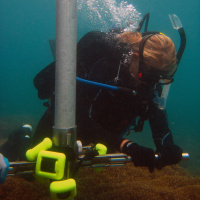 Dr. Lauren Toth: Coral reef ecologist looking to the past