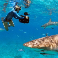 Jillian Morris-Brake: Sharks4Kids founder