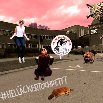 Helläckert Och Petit