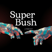 Super Bush News: Banning TikTok, Chemical Cat, and Titanic 2
