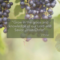 False Promise of Freedom (2 Peter 2:10b-22 - 10/30/16 - Dan Harty)