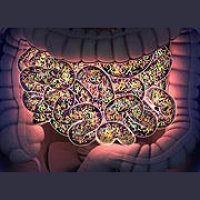 Granting Immunity (rebroadcast)