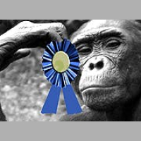 Skeptic Check, Beast Of