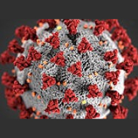 Skeptic Check: Pandemic Fear