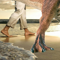 Talk the Walk (rebroadcast)