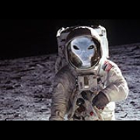 Skeptic Check: Sheer Lunacy