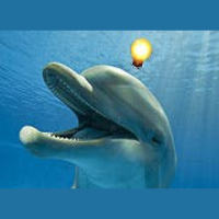 You Think Youre So Smart