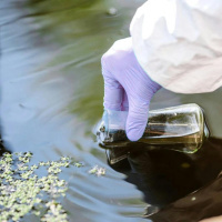 Some Chemicals are Forever