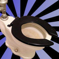 Flush with Excitement (rebroadcast)