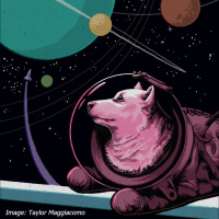 Make Space for Animals*