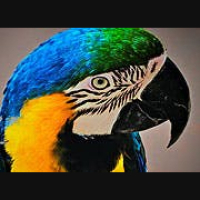 The Other Living World (rebroadcast)