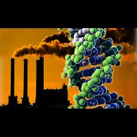 DNA is Not Destiny (rebroadcast)